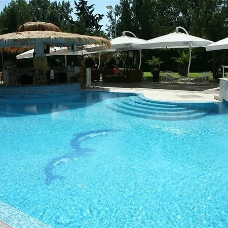 Flamingo Sunny Slantchev Briag