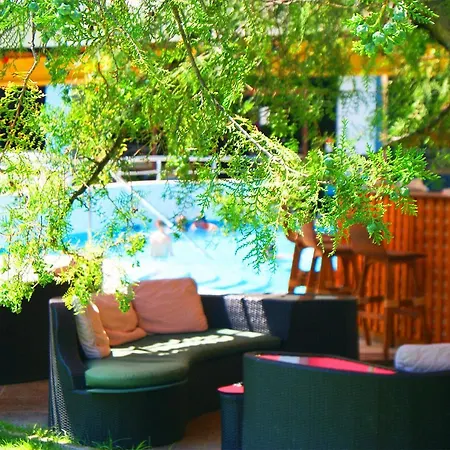 Flamingo Sunny Szálloda