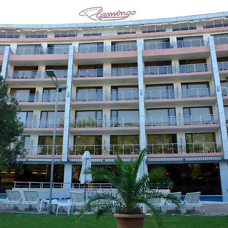 فندق Flamingo Sunny