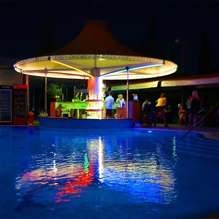 Flamingo Sunny Hotell