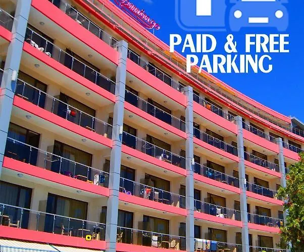 Flamingo Sunny 써니비치